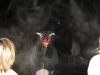 P1010415.jpg, 83 kB